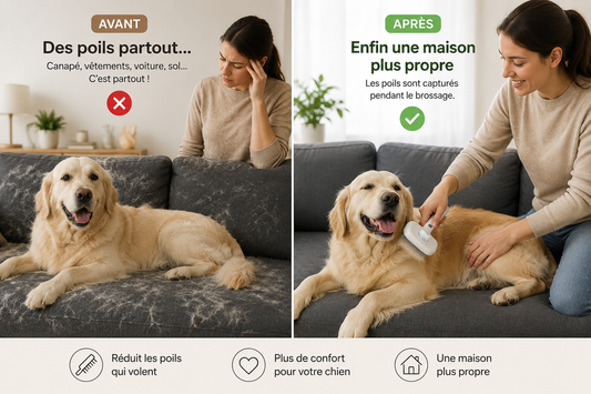 Brosse Anti-Poils Premium pour Chien | Spray Intégré & Autonettoyante