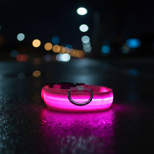 Collier LED Lumineux pour Chien — Sécurité Nocturne en Nylon