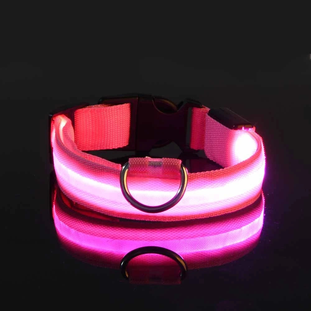 Collier LED Lumineux pour Chien — Sécurité Nocturne en Nylon