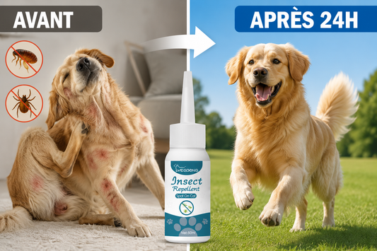 Puces et Tiques Éliminées en 24h - Lotion Naturelle Chien et Chat