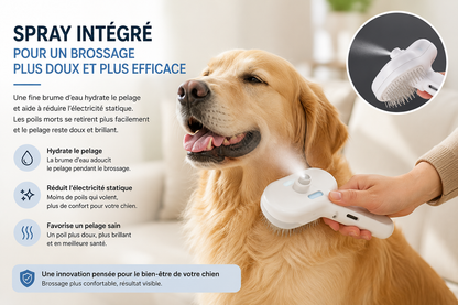 Brosse Anti-Poils Premium pour Chien | Spray Intégré & Autonettoyante