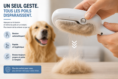 Brosse Anti-Poils Premium pour Chien | Spray Intégré & Autonettoyante