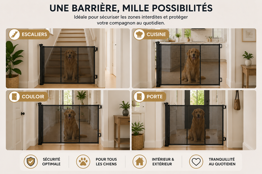 Barrière Rétractable de Sécurité pour Chien
