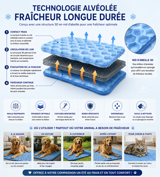Tapis Rafraîchissant Chien & Chat — Soie Glacée