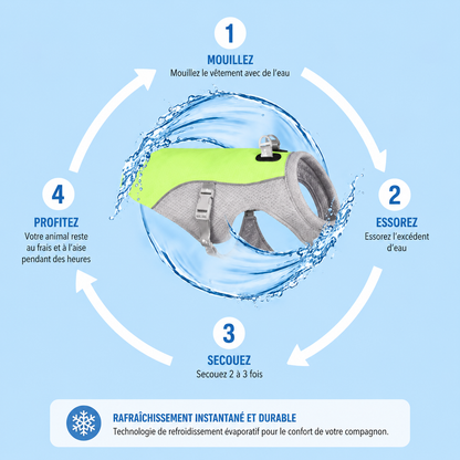 Gilet Rafraîchissant pour Chien — Évaporatif, Léger & Réfléchissant