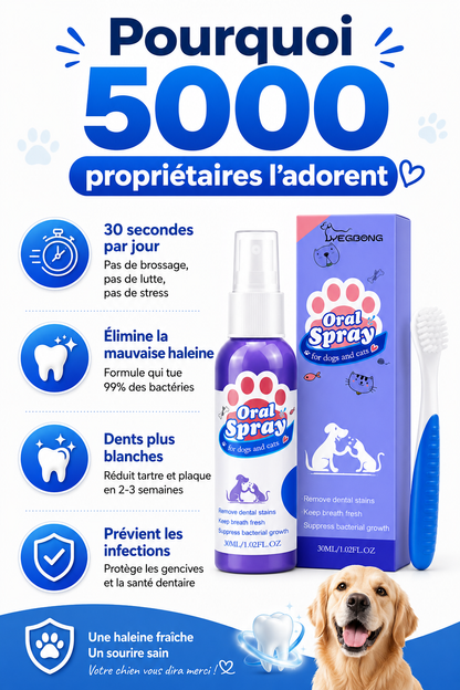 "Propriétaires de chiens : haleine fraîche en 30 secondes"