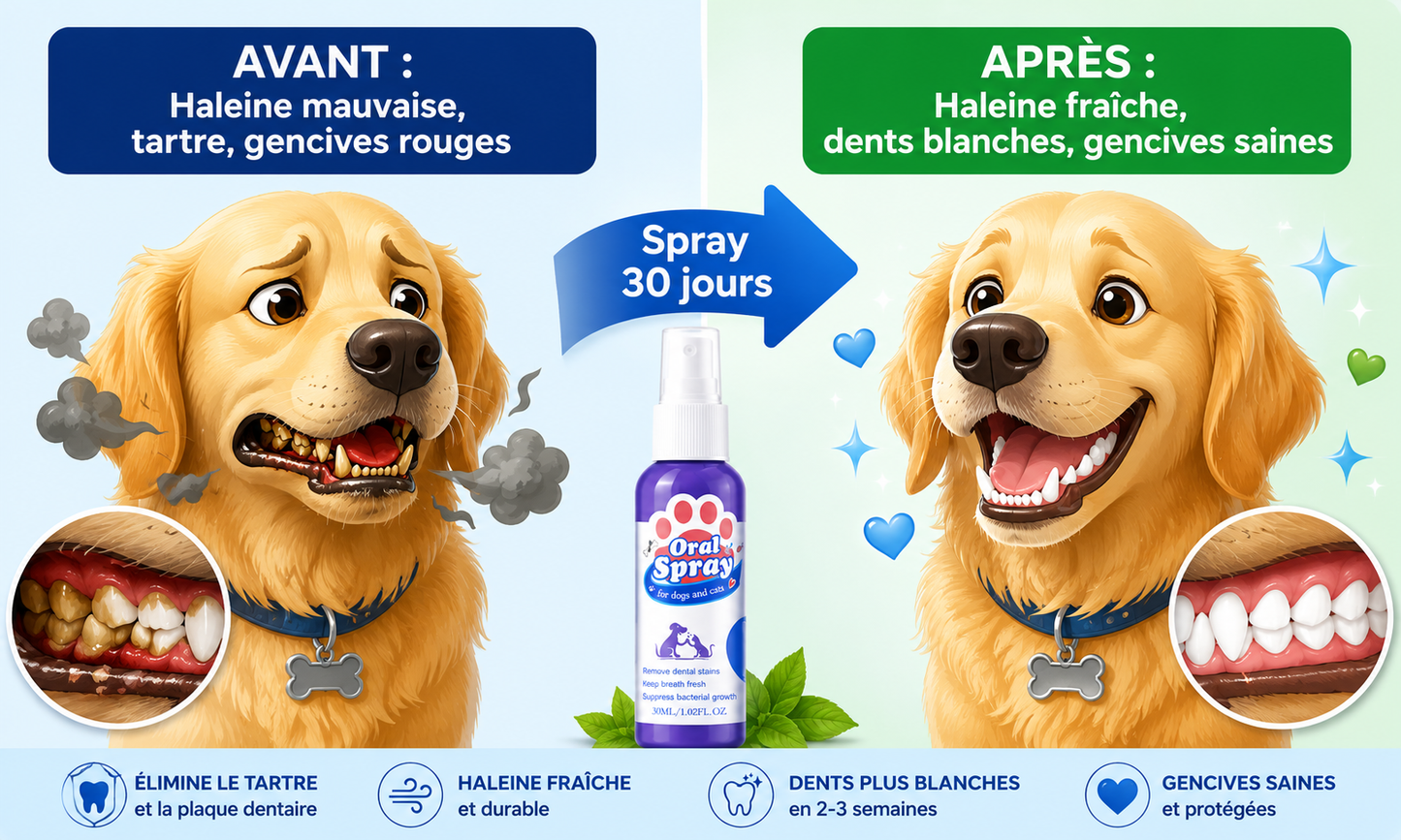 "Propriétaires de chiens : haleine fraîche en 30 secondes"