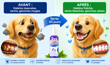 "Propriétaires de chiens : haleine fraîche en 30 secondes"