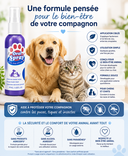 Propriétaires de chiens : haleine fraîche en 30 secondes