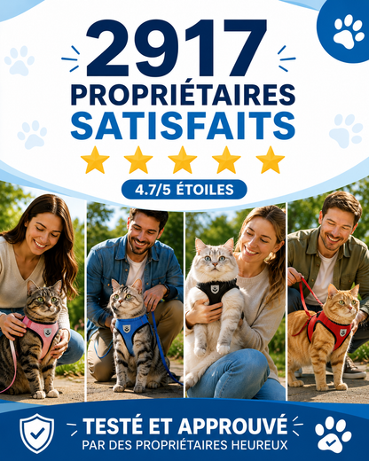 Harnais & Laisse pour Chat – Sortez Enfin Votre Félin en Toute Sécurité