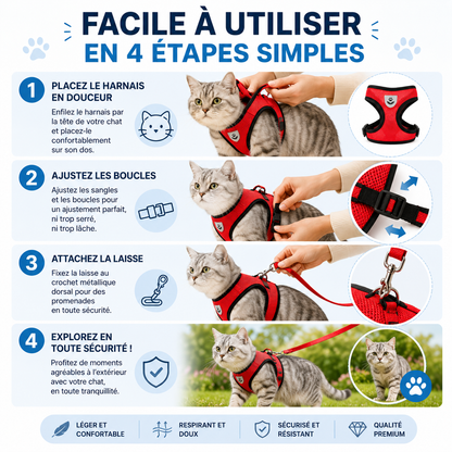 Harnais & Laisse pour Chat – Sortez Enfin Votre Félin en Toute Sécurité