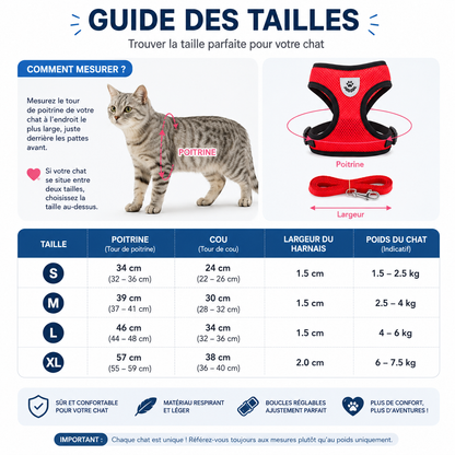 Harnais & Laisse pour Chat – Sortez Enfin Votre Félin en Toute Sécurité