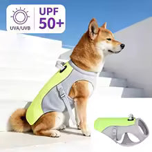Gilet Rafraîchissant pour Chien — Évaporatif, Léger & Réfléchissant