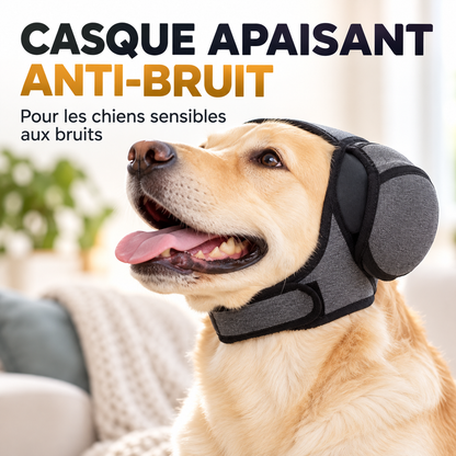 Casque Anti-Bruit pour Chien – Stress & Anxiété