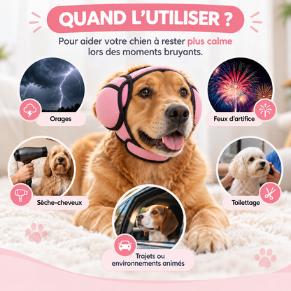 Casque Anti-Bruit pour Chien – Stress & Anxiété