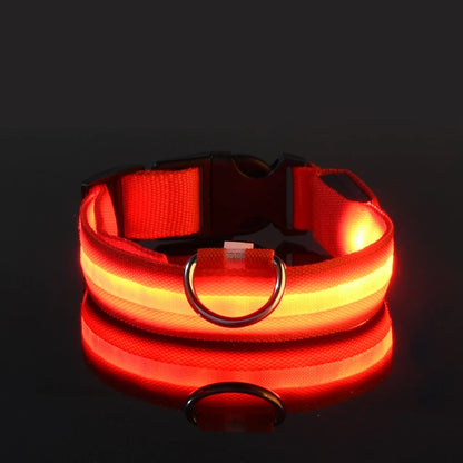 Collier LED Lumineux pour Chien — Sécurité Nocturne en Nylon