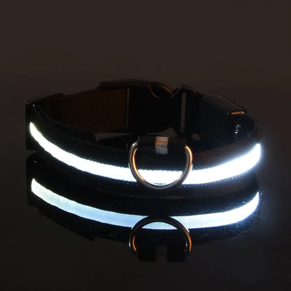 Collier LED Lumineux pour Chien — Sécurité Nocturne en Nylon