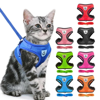Harnais & Laisse pour Chat – Sortez Enfin Votre Félin en Toute Sécurité