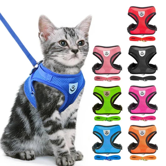 Harnais & Laisse pour Chat – Sortez Enfin Votre Félin en Toute Sécurité