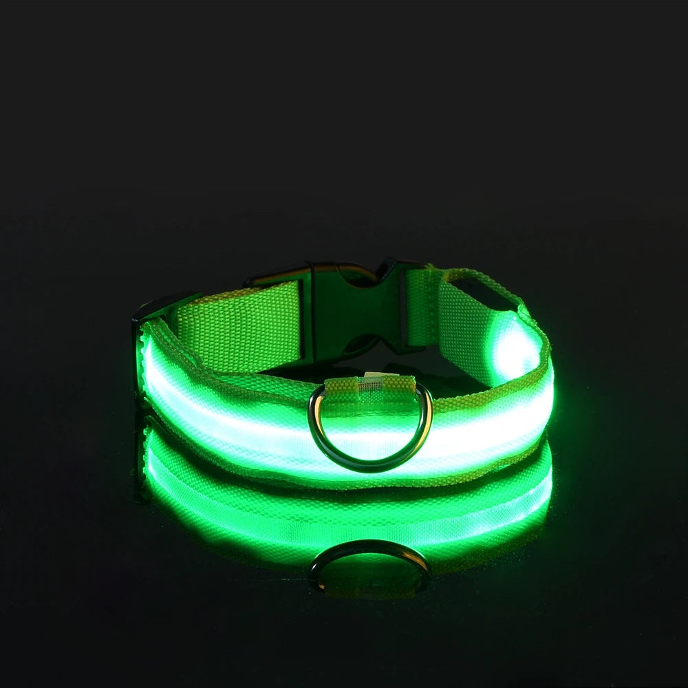 Collier LED Lumineux pour Chien — Sécurité Nocturne en Nylon