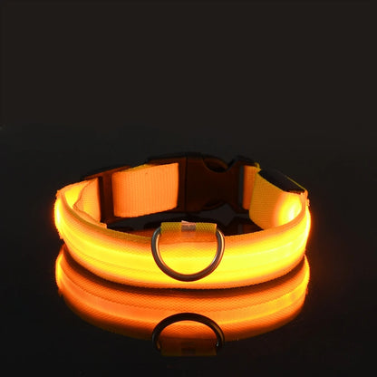 Collier LED Lumineux pour Chien — Sécurité Nocturne en Nylon