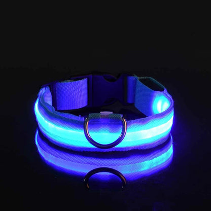 Collier LED Lumineux pour Chien — Sécurité Nocturne en Nylon