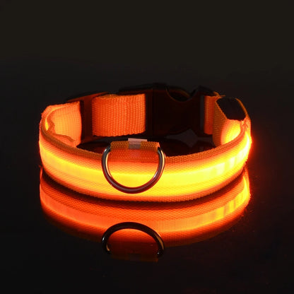 Collier LED Lumineux pour Chien — Sécurité Nocturne en Nylon