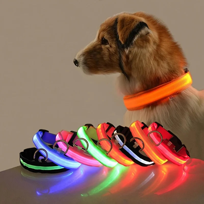 Collier LED Lumineux pour Chien — Sécurité Nocturne en Nylon