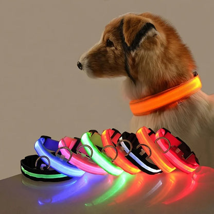 Collier LED Lumineux pour Chien — Sécurité Nocturne en Nylon
