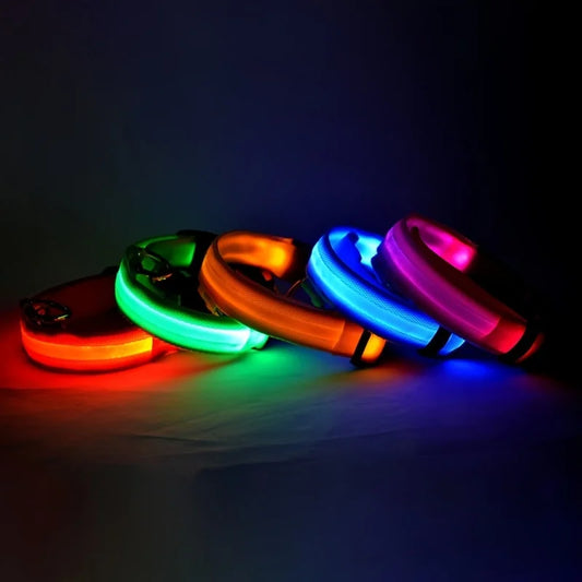 Collier LED Lumineux pour Chien — Sécurité Nocturne en Nylon