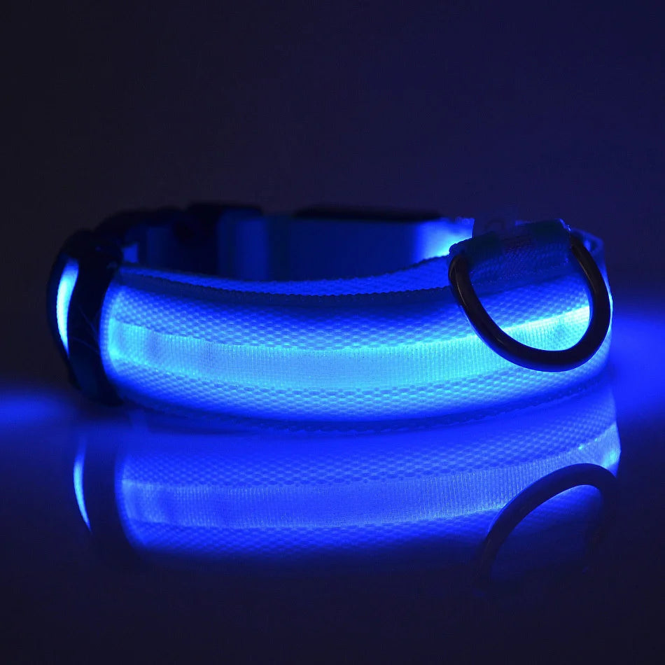Collier LED Lumineux pour Chien — Sécurité Nocturne en Nylon