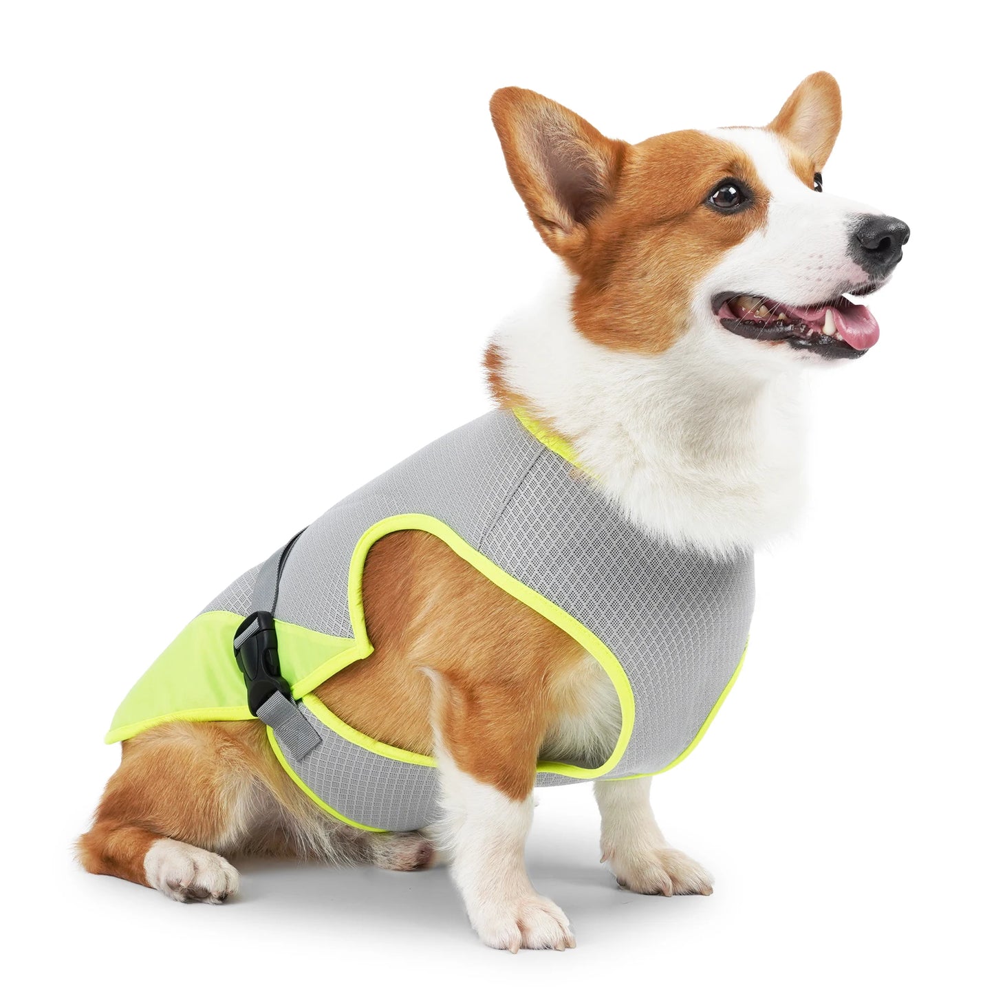 Gilet Rafraîchissant pour Chien — Évaporatif, Léger & Réfléchissant