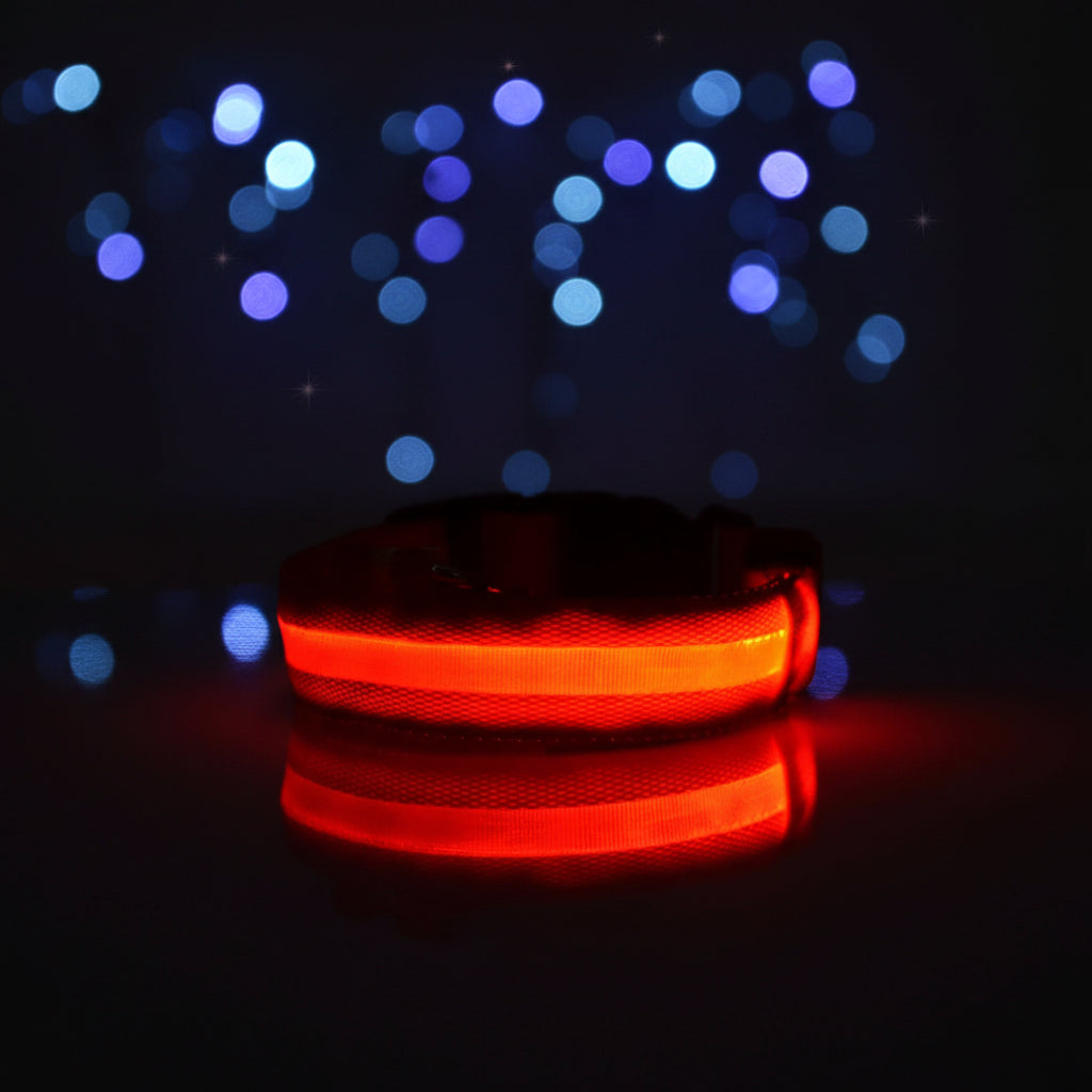 Collier LED Lumineux pour Chien — Sécurité Nocturne en Nylon