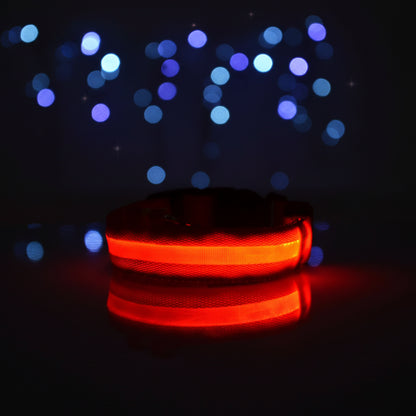 Collier LED Lumineux pour Chien — Sécurité Nocturne en Nylon