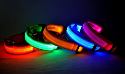 Collier LED Lumineux pour Chien — Sécurité Nocturne en Nylon