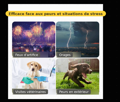 Gilet Anti-Stress pour Chien — Apaisement Naturel pour Orages & Feux d'Artifice